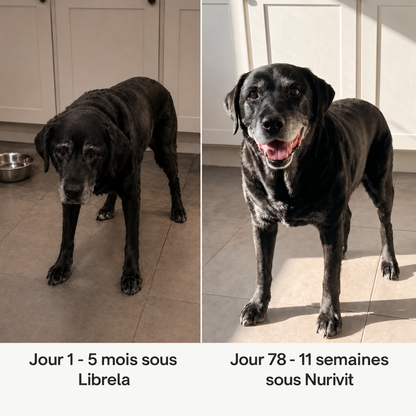 Nurivit™ NAD+ Canin